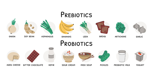 Probiotics vs. Prebiotics?